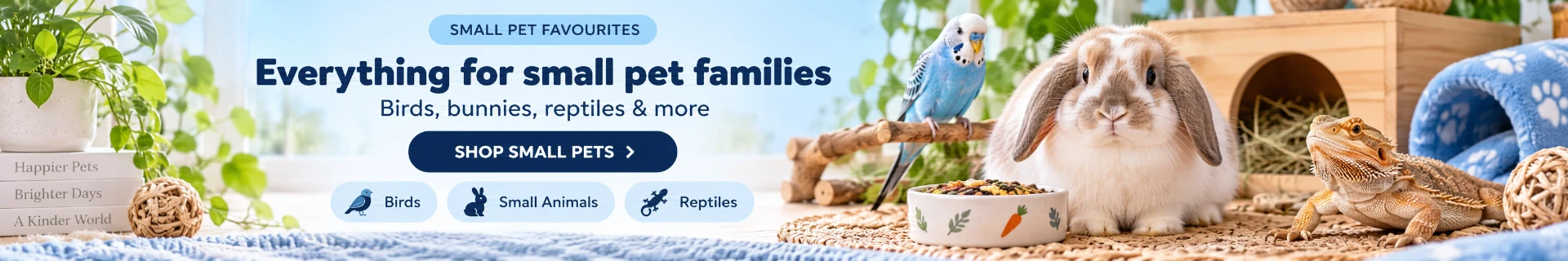 A lop-eared rabbit, a bearded dragon and a blue budgie among small pet supplies